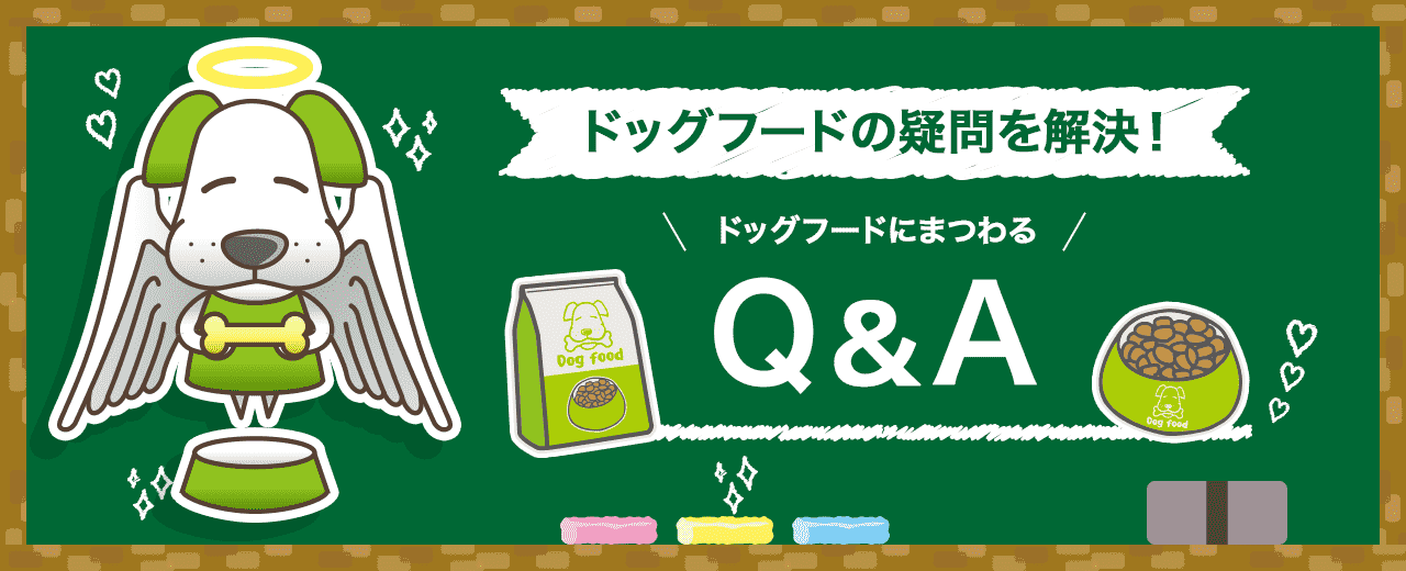 ドッグフードの疑問を解決！Q&A