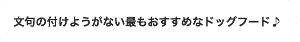 文句の付けようがない最もおすすめなドッグフード