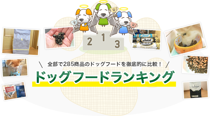 ドッグフードランキングの画像