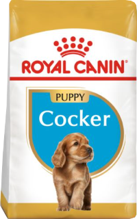 ロイヤルカナン（コッカー専用 成犬～高齢犬用）のアイコン