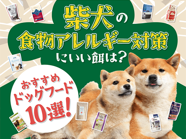 柴犬の植物アレルギーにおすすめのドッグフードのサムネイル