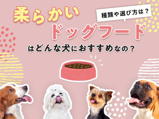 柔らかいドッグフードおすすめ記事のサムネイル