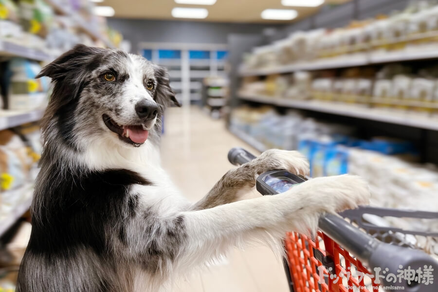 ショッピング中の犬