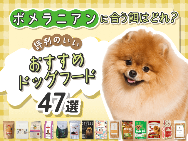 ポメラニアンにおすすめのドッグフード記事のサムネイル