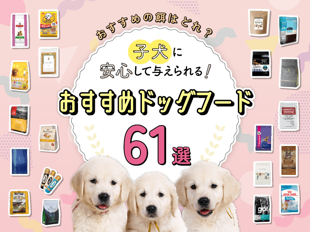 子犬におすすめのドッグフード記事のサムネイル