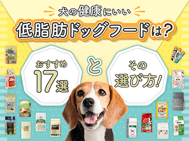 おすすめの低脂肪ドッグフード記事のサムネイル