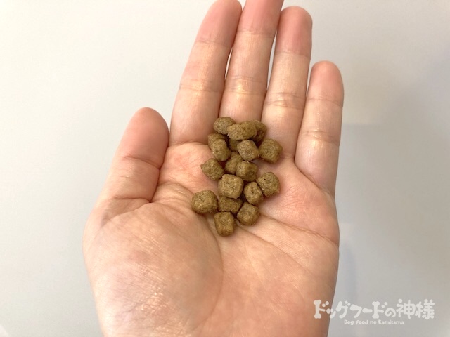 ナチュラルチョイス小型犬成犬用 チキン＆玄米の粒を手に載せた様子