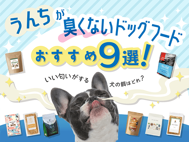 うんちが臭くないおすすめドッグフードの記事のサムネイル