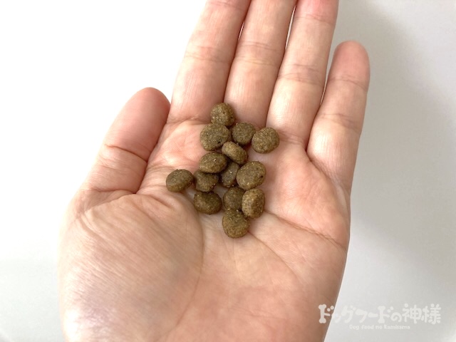 ソルビダ（室内飼育成犬用）を手に取った