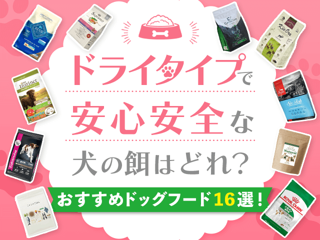 おすすめの犬用ドライフード記事のサムネイル