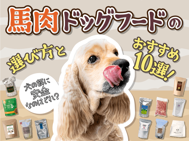 馬肉ドッグフードの選び方とおすすめ記事のサムネイル
