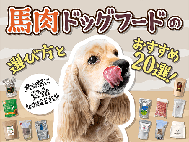 馬肉ドッグフードのおすすめ記事のサムネイル