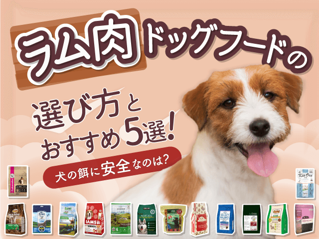 ラム肉ドッグフードの選び方とおすすめ記事のサムネイル