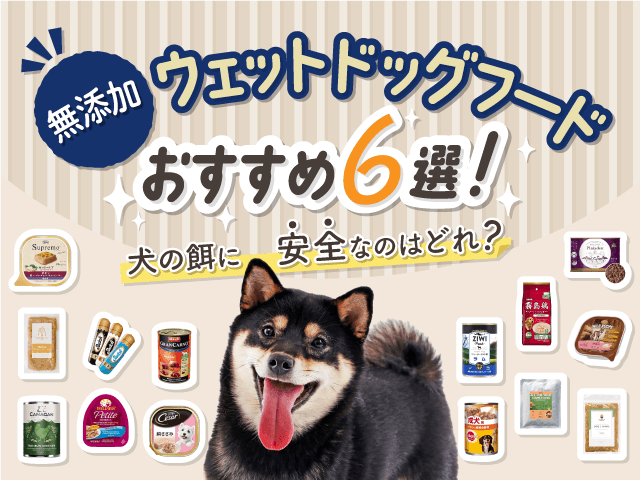 無添加ウェットドッグフードおすすめ記事のサムネイル