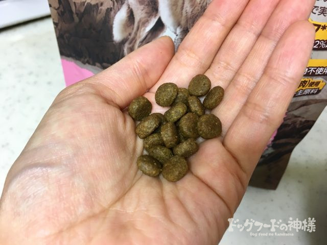 ニュートロ ワイルドレシピ 超小型犬〜小型犬用 成犬用 チキンを手に乗せた様子