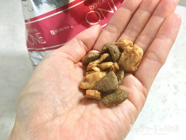 ピュリナワン 1～6歳 ほぐし粒入り 成犬用 チキンを手に乗せた様子