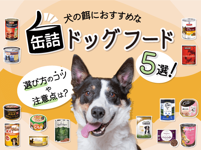 おすすめ缶詰ドッグフード記事のサムネイル