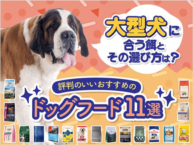 大型犬に合う餌とその選び方とおすすめ記事のサムネイル