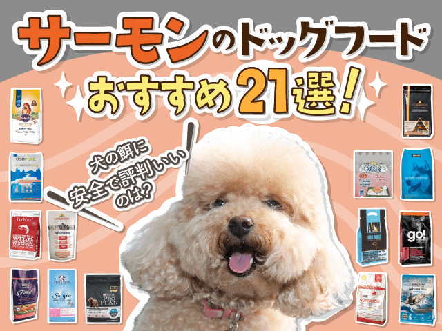 サーモンのドッグフードおすすめ5選のサムネイル