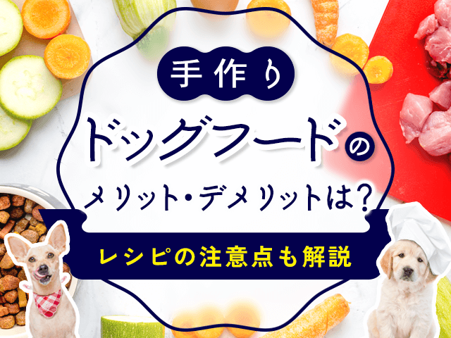 手作りドッグフードのメリット・デメリット記事のサムネイル