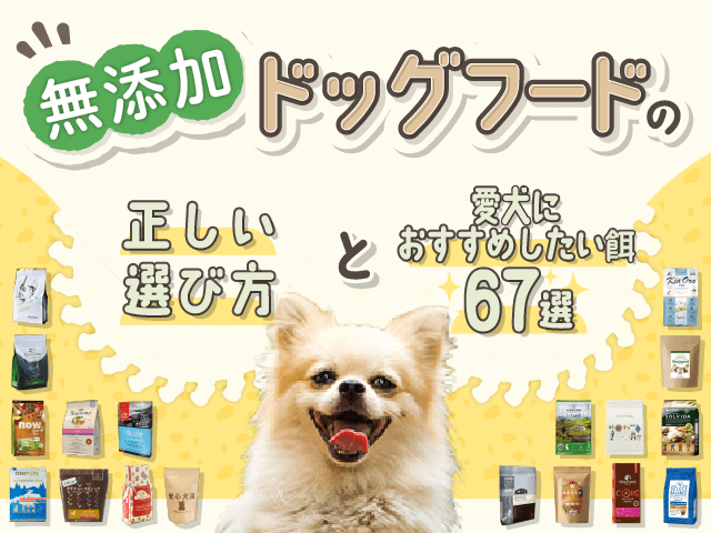無添加でおすすめのドッグフード記事のサムネイル