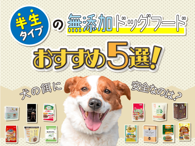 半生タイプの無添加ドッグフードおすすめ記事のサムネイル