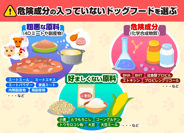 危険成分のはいっていないドッグフードを選ぶ