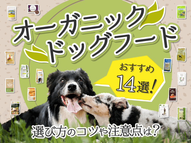 オーガニックドッグフードのサムネイル