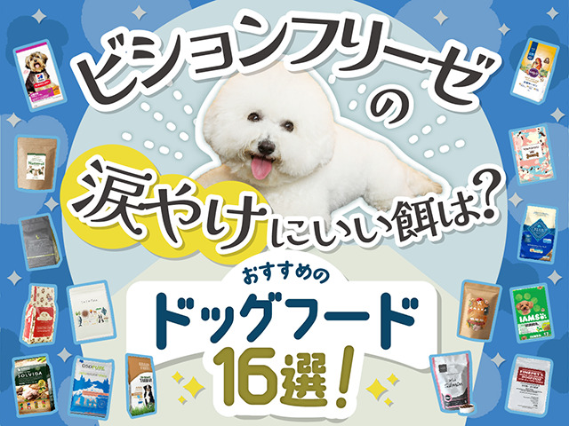 ビションフリーゼの涙やけ対策におすすめのドッグフード記事のサムネイル