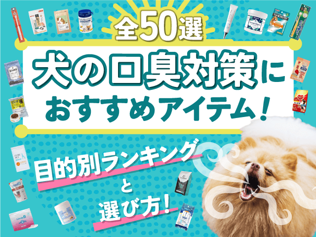 犬の口臭対策におすすめのアイテム記事のサムネイル