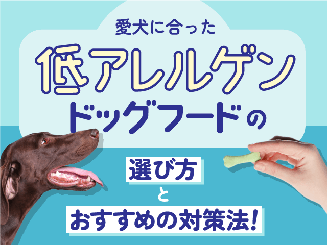 低アレルゲンのおすすめドッグフード記事のサムネイル
