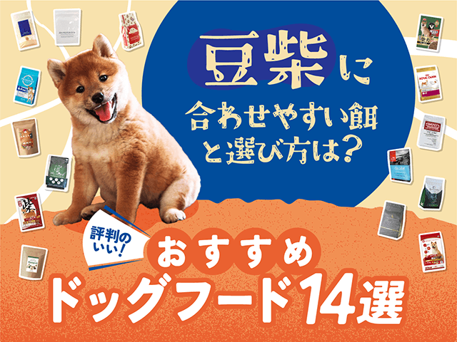 豆柴におすすめのドッグフード記事のサムネイル