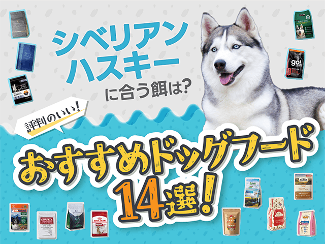 シベリアンハスキーにおすすめのドッグフード記事のサムネイル
