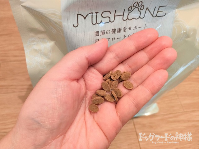 ミシュワン小型犬用を手に取った