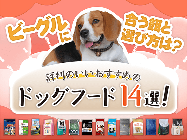 ビーグルにおすすめのドッグフードのサムネイル