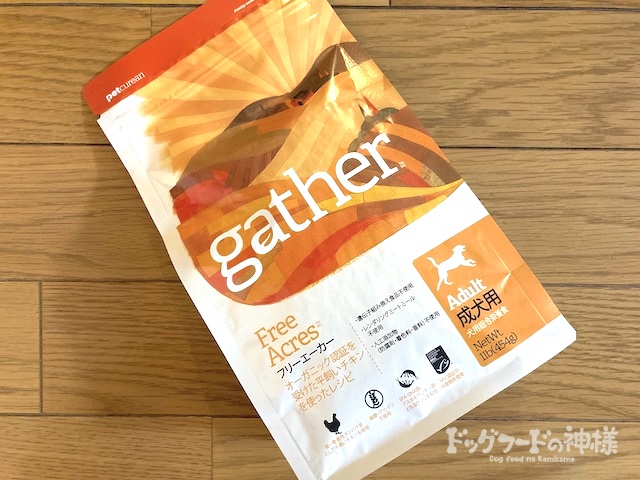 の正面