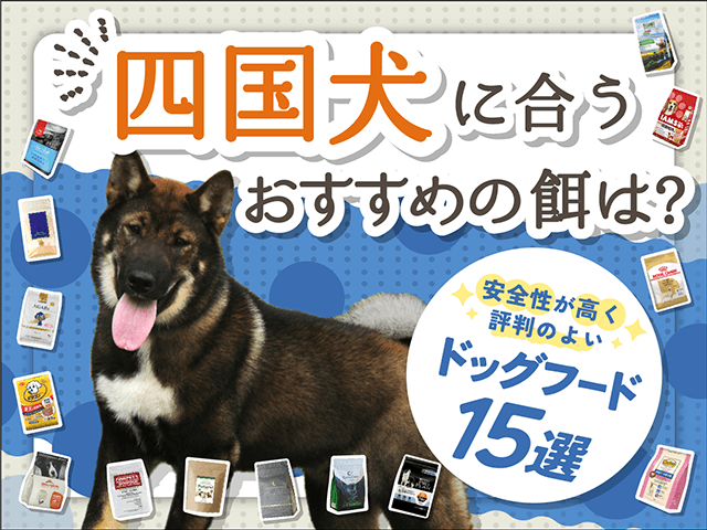 四国犬のおすすめのドッグフード記事のサムネイル