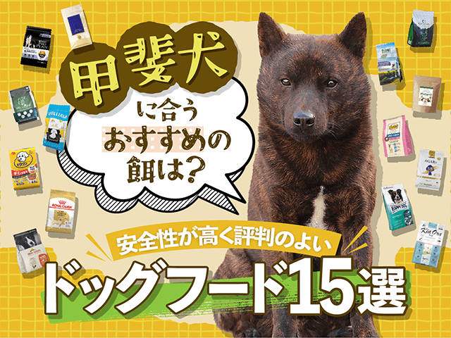 甲斐犬におすすめのドッグフード記事のサムネイル