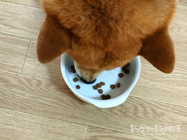 マックアダムズを食べる愛犬