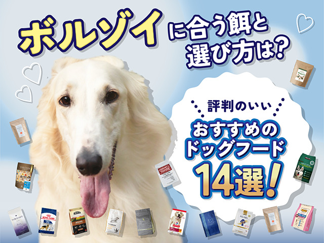 ボルゾイにおすすめのドッグフード記事のサムネイル