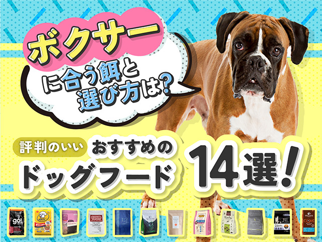 ボクサーにおすすめのドッグフード記事のサムネイル