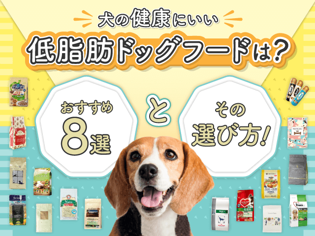 犬の健康にいい低脂肪ドッグフード記事のサムネイル