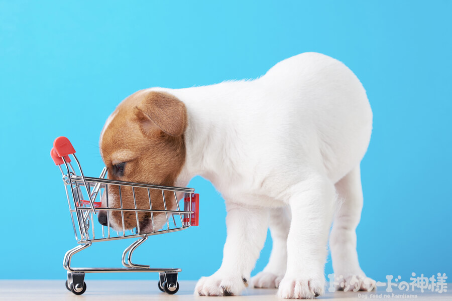 買い物カートと犬