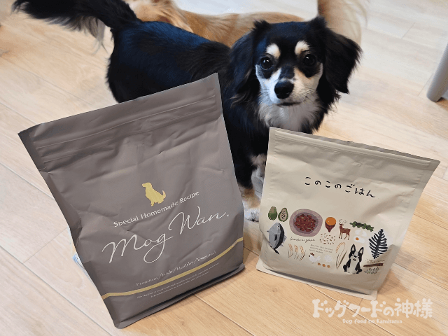 モグワン　このこのごはん　パッケージと愛犬 (4)