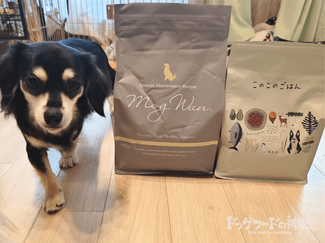 モグワン　このこのごはん　パッケージと愛犬 (3)