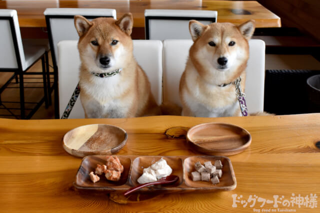 2匹の柴犬のドッグフード