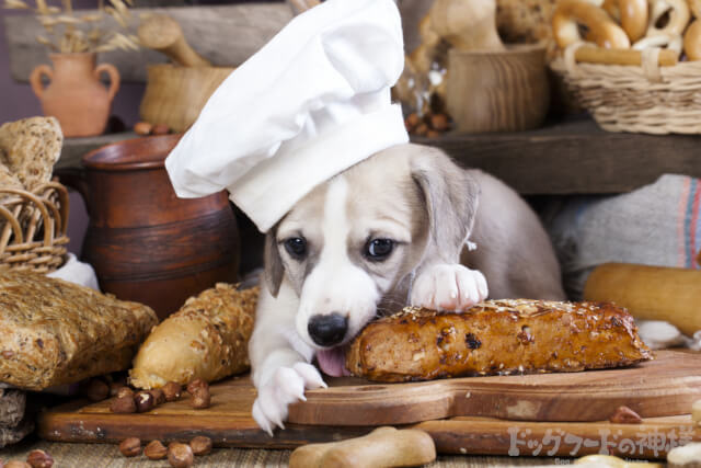 穀物を食べようとしている犬