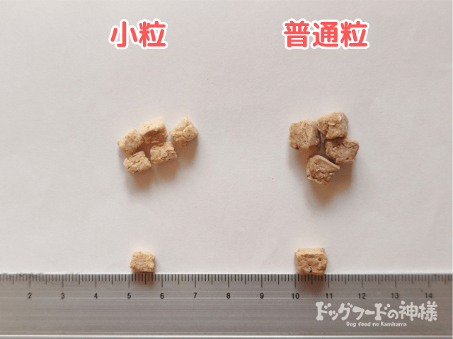 dogfoodkoubou₋10