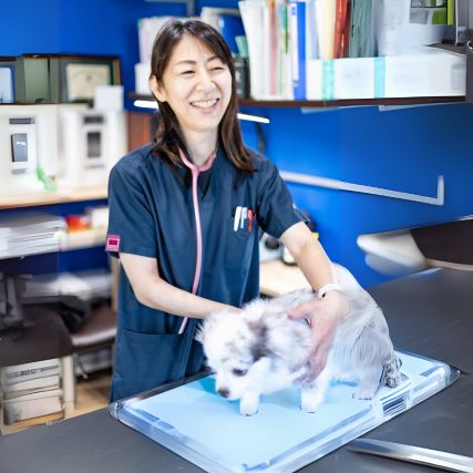 メープルファミリー動物病院
