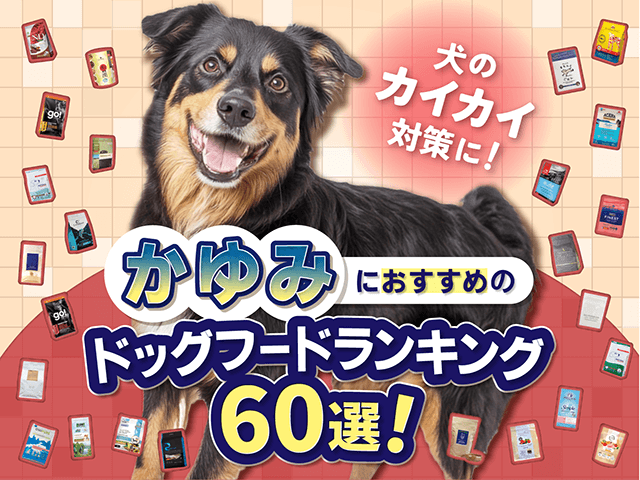 犬の粥ににおすすめのドッグフードのサムネイル